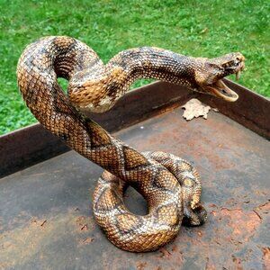 Realistic Diamondback Rattlesnake Snake Figurine Statue Resin